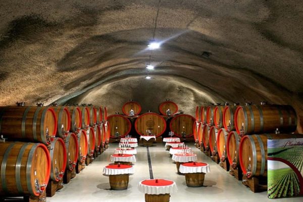 Cave à vin Monténégro